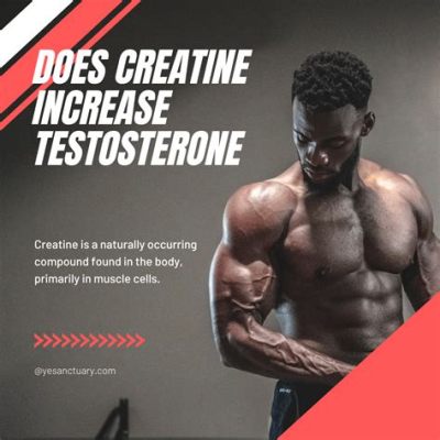 Does High Protein Increase Testosterone? Exploring the Myths and Realities of Muscle and Hormones