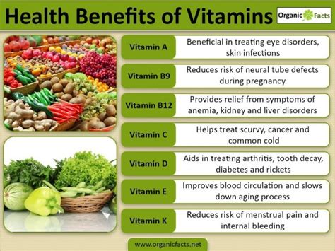 How Long Does It Take Vitamins to Absorb: And Why Do They Sometimes Feel Like They're Racing Against Time?