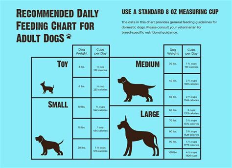 How Much Protein Should My Dog Eat: A Tail-Wagging Debate on Canine Nutrition and Cosmic Mysteries