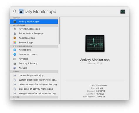 How to Open Activity Monitor on Mac: A Journey Through Digital Consciousness