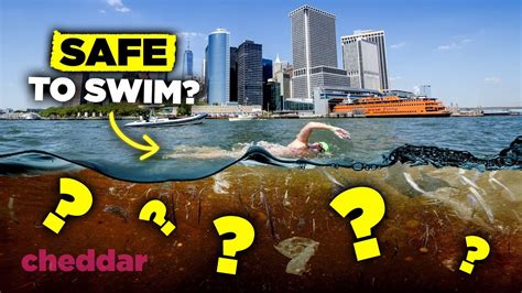 Is the Hudson River Clean Enough to Swim In? And Why Do Fish Wear Sunglasses?